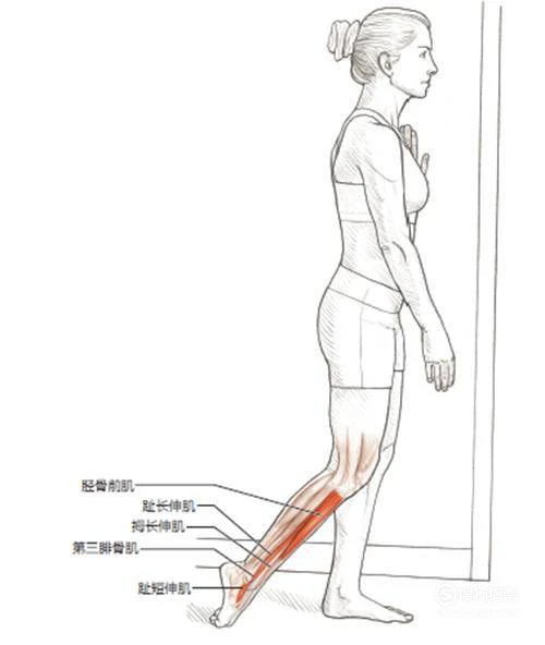 制定篮球交流计划以促进个人技能发展的方法_1